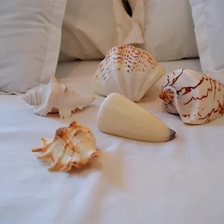 Sunny * 스플리트