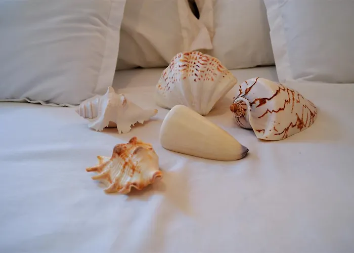 Sunny * 스플리트